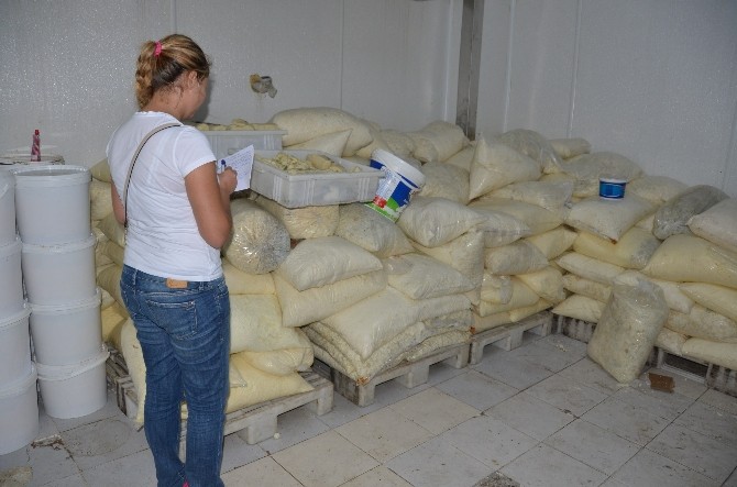 ’10 Ton peynire el konuldu