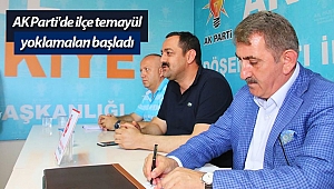 AK Parti'de ilçe temayül yoklamaları başladı
