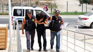 Alanya'da oto faresi yakalandı!