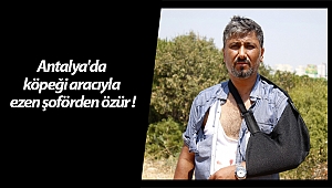 Antalya'da köpeği aracıyla ezen şoförden özür