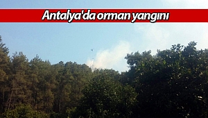 Antalya'da orman yangını