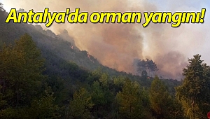 Antalya'da orman yangını