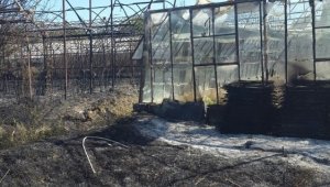 Antalya'da çıkan yangında 7 sera zarar gördü