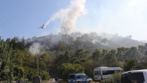 Antalya'daki orman yangını kontrol altına alındı