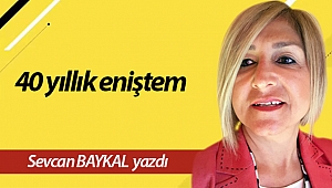40 yıllık eniştem