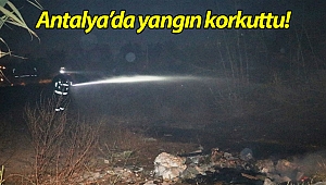 Antalya'da sazlık alanda çıkan yangın korkuttu! (Videolu)
