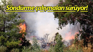 Antalya'daki yangın 34 saattir devam ediyor