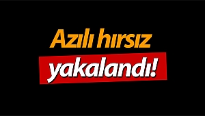 Azılı hırsız yakalandı!