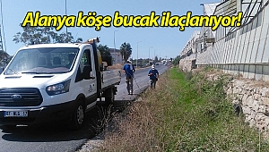 Karasinekle mücadele çalışmaları devam ediyor