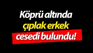 Köprü altında çıplak erkek cesedi bulundu!