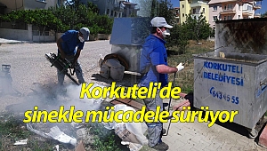 Korkuteli'de sinekle mücadele sürüyor