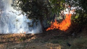Manavgat Irmağı kenarında yangın