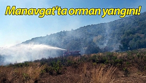 Manavgat'ta orman yangını!