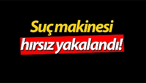 Manavgat'ta suç makinesi hırsız yakalandı!
