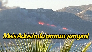 Meis Adası'nda orman yangını! (Videolu)