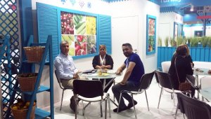 Rusya'ya ihracatta yüzde 151 oranında artış