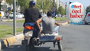 Tehlikeli yolculuk