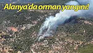 Alanya'da orman yangını!