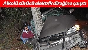Alkolü sürücü elektrik direğine çarptı: 4 yaralı