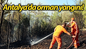 Antalya'da orman yangını! (Videolu)