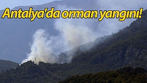 Antalya'da orman yangını!