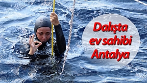 Antalya, dünyanın en iyi dalış sporcularına ev sahipliği yapıyor