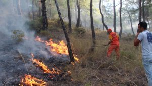 Antalya'da 3 ayrı noktada orman yangını
