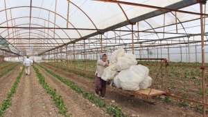 Antalya'da hortum seraları yerle bir etti