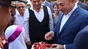 Bakan Çavuşoğlu: "Çekirdeksiz nar emsalsiz bir ürün, tüm dünyaya tanıtılması gerekli"
