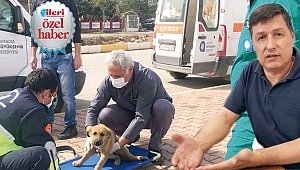 Belediyenin cinliği mahkemeden döndü 