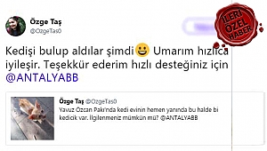 Büyükşehir minik kediye acil yardım