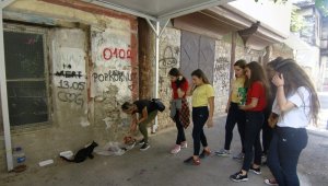 Harçlıklarıyla sokak hayvanlarını beslediler