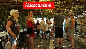 Hasat turizmi