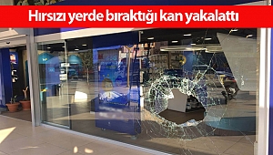 Hırsızı yerde bıraktığı kan yakalattı