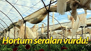 Hortum seraları hasat zamanında vurdu