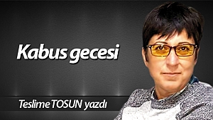 Kabus gecesi
