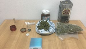 Lüks villaya skunk baskını