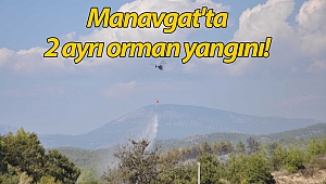 Manavgat'ta 2 ayrı orman yangını!