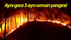 Manavgat'ta aynı gece 5 ayrı orman yangını! (Videolu)