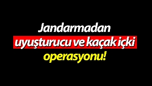 Manavgat'ta uyuşturucu ve kaçak içki operasyonu!