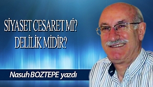 Siyaset Cesaret Mi ? Delilik Midir ?