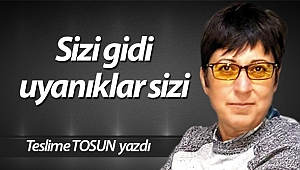 Sizi gidi uyanıklar sizi