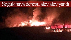 Soğuk hava deposu alev alev yandı