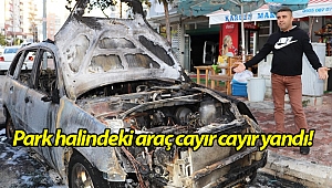 Antalya'da park halindeki araç cayır cayır yandı!