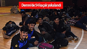 Demre'de 54 kaçak yakalandı