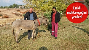 Eşekli muhtar eşeğini yeniledi