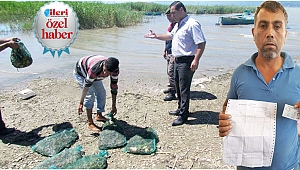 Kurbağa cezası 