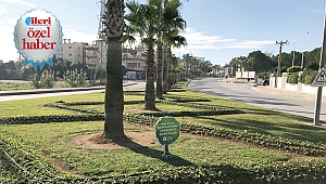Manavgat Çiçek Bahçesine Dönecek 