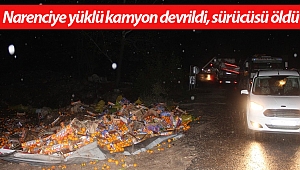 Narenciye yüklü kamyon devrildi, sürücüsü öldü
