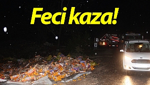 Narenciye yüklü kamyon devrildi, sürücüsü öldü!